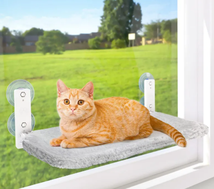 CatoVita™ SunLounge